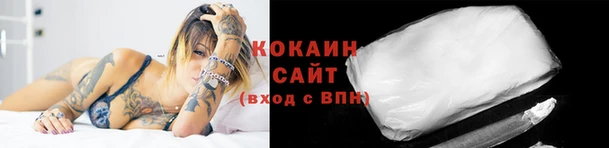 винт Абаза