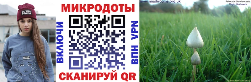 Псилоцибиновые грибы Psilocybe  где купить наркоту  Арсеньев 