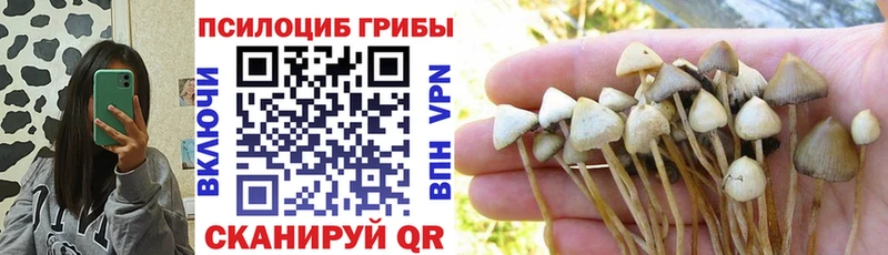 Псилоцибиновые грибы мухоморы Арсеньев
