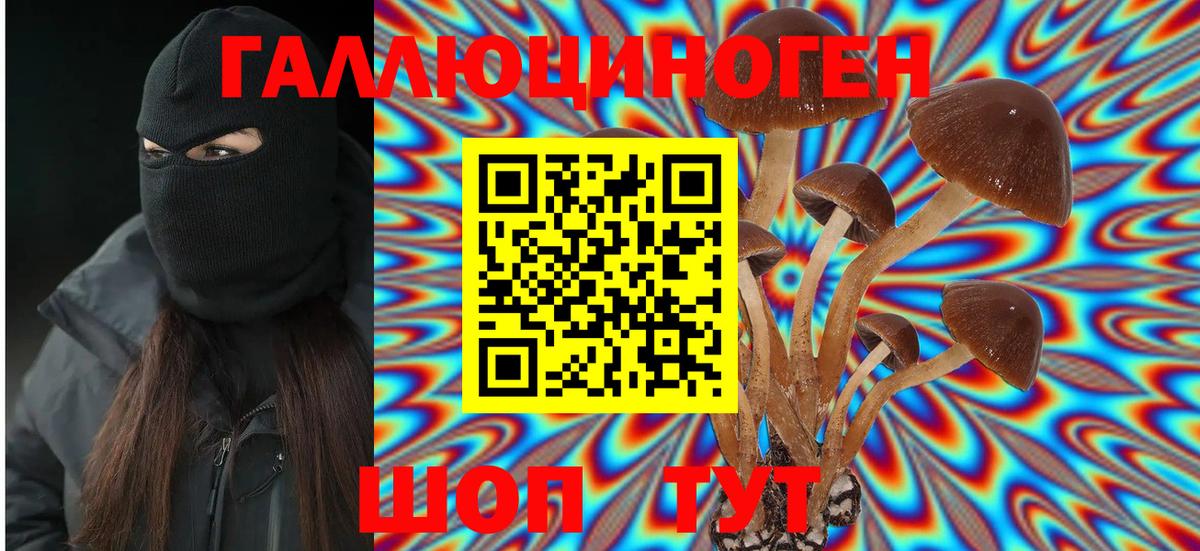 Галлюциногенные грибы Cubensis Арсеньев