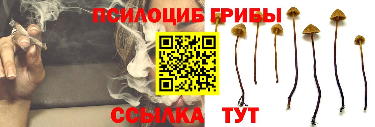 Галлюциногенные грибы Magic Shrooms  Галлюциногенные грибы GOLDEN TEACHER  Вход с VPN  цена   Арсеньев 