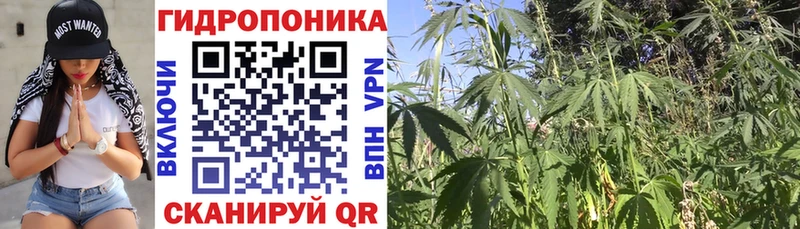 МАРИХУАНА конопля  Арсеньев 